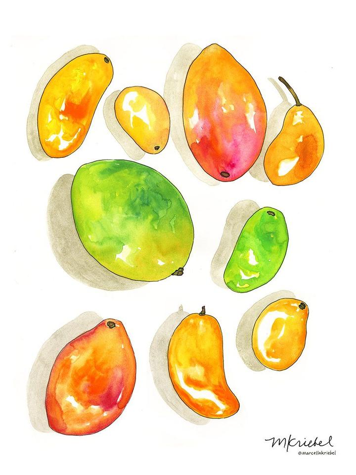 Mangoes Watercolor Art Print