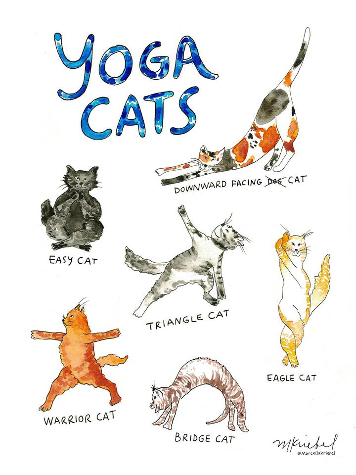 Yoga Cats 🐱 Watercolor Art Print