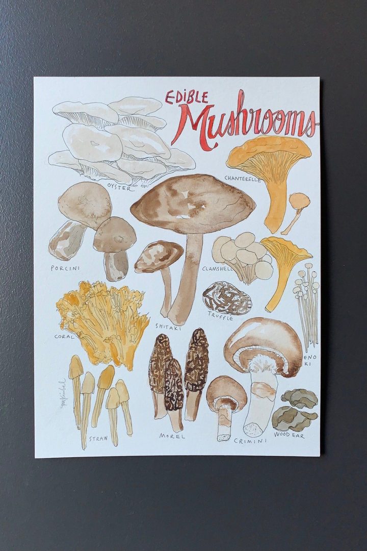 Edible Mushrooms Original Watercolor Painting