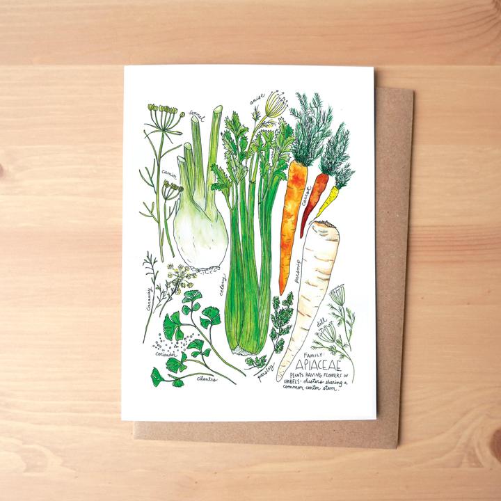 Apiaceae Produce Family Greeting Card + Envelope