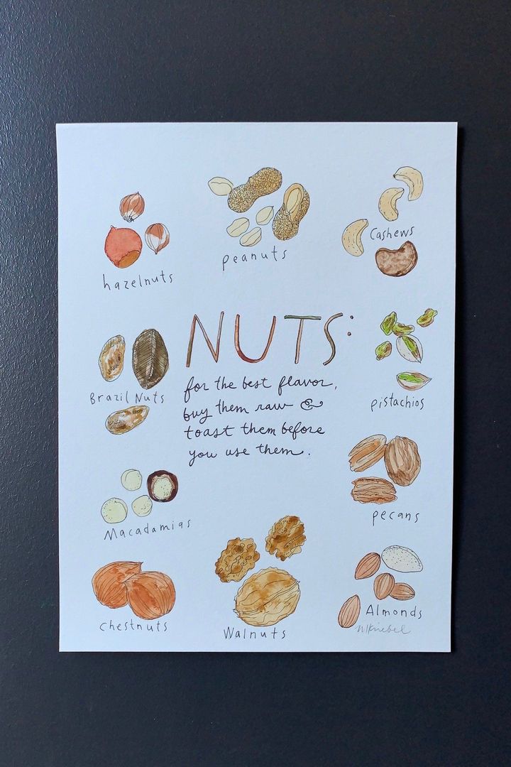 Types of Nuts Original Watercolor Painting