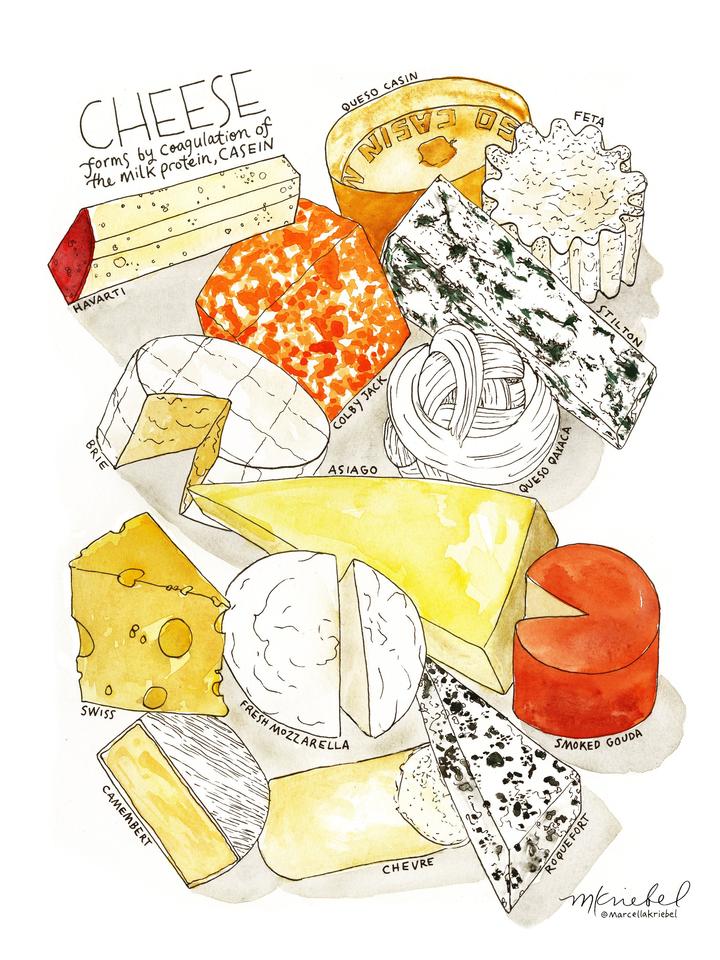 Cheese Plate Watercolor Art Print