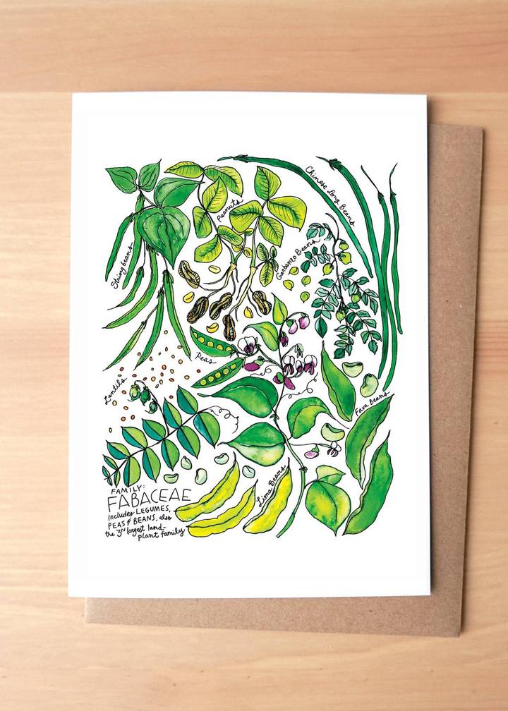 Fabaceae Produce Family Greeting Card + Envelope