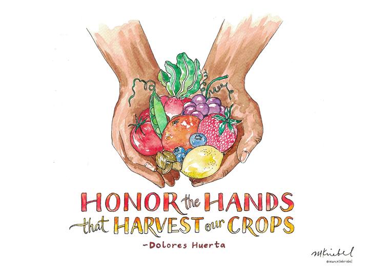 Honor the Hands that Harvest Our Crops Quote by Dolores Huerta Watercolor Art Print