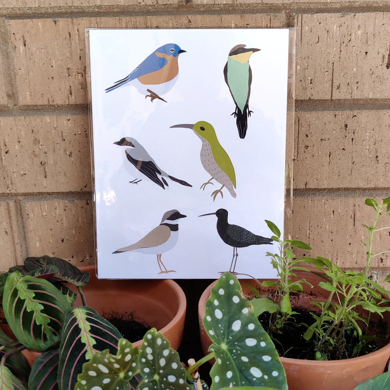Migratory Bird Print