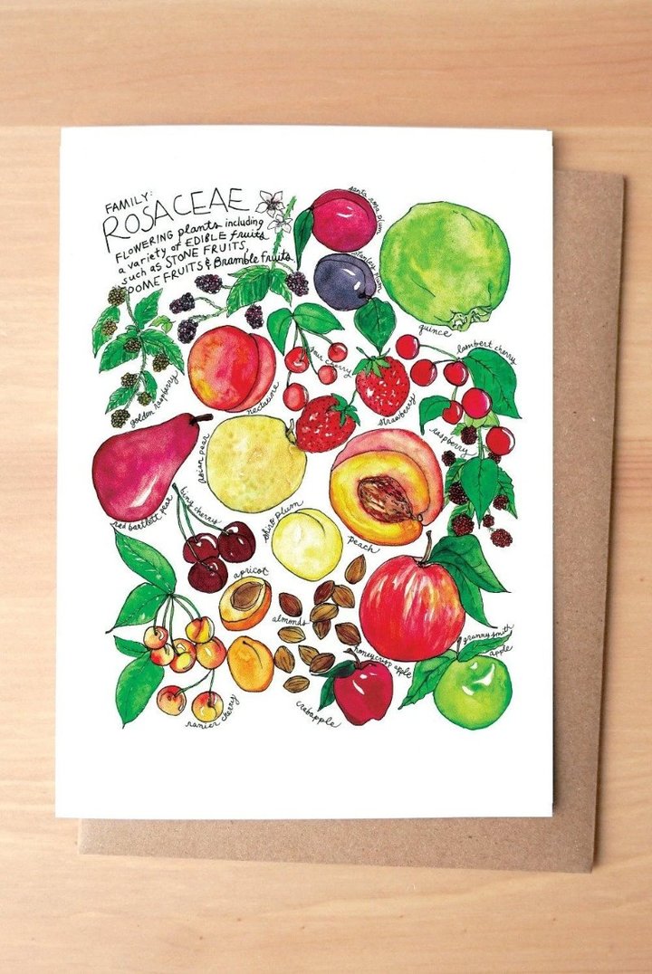 Rosaceae Produce Family Greeting Card + Envelope