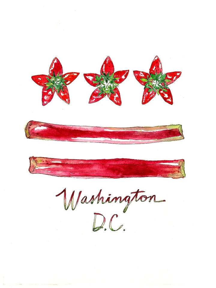 Washington, DC Strawberry and Rhubarb Flag Watercolor Art Print