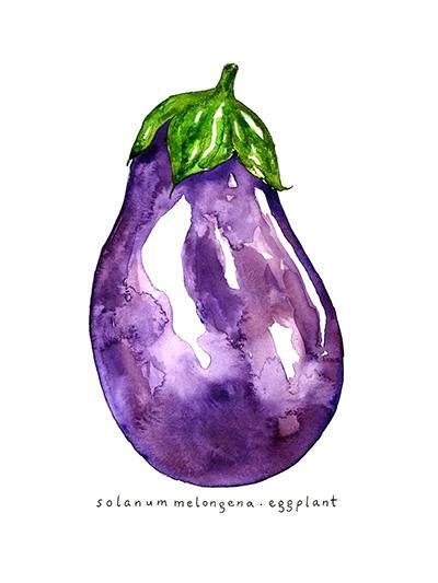 Eggplant Watercolor Art Print
