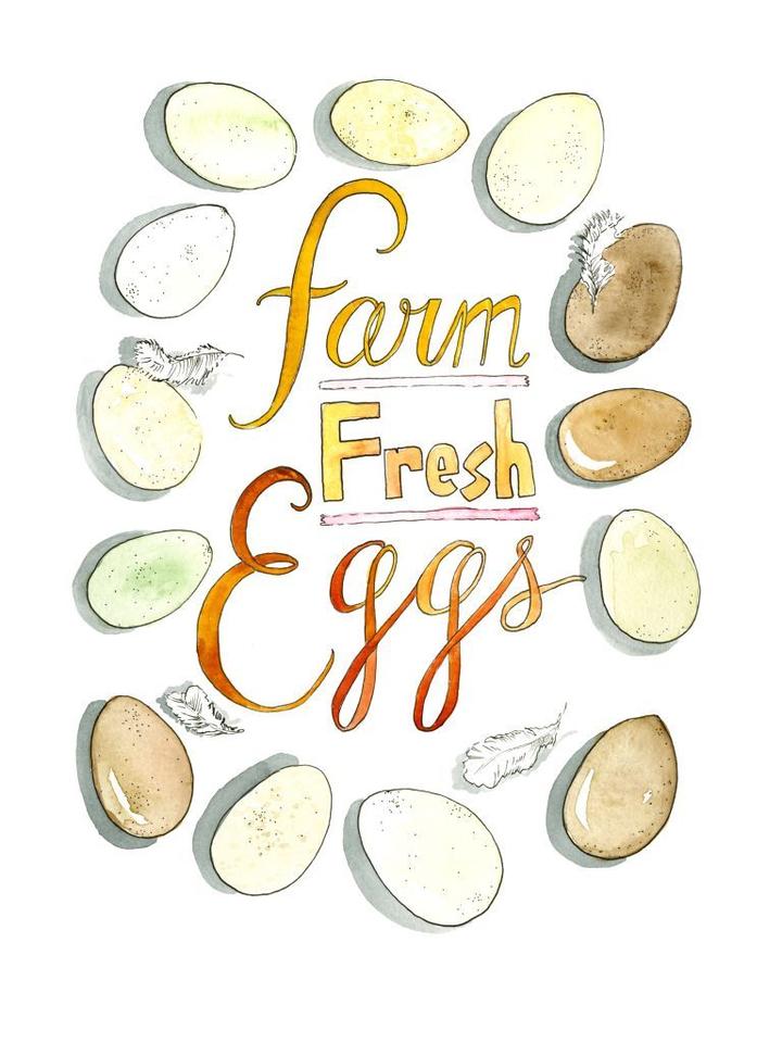 Farm Fresh Eggs Watercolor Art Print