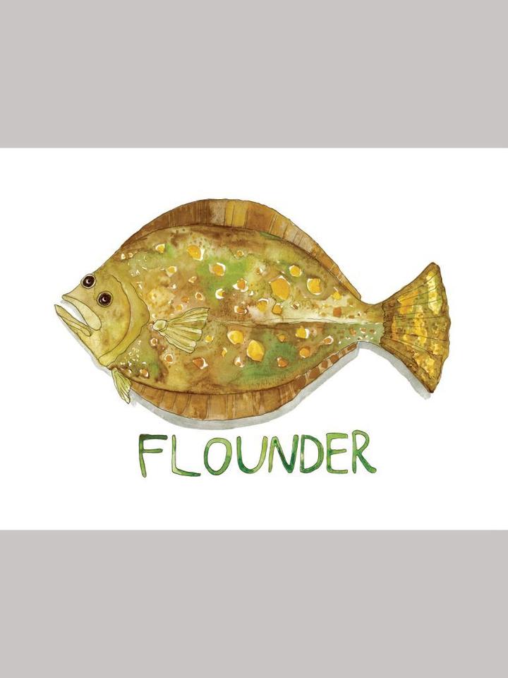 Flounder Fish Watercolor Art Print