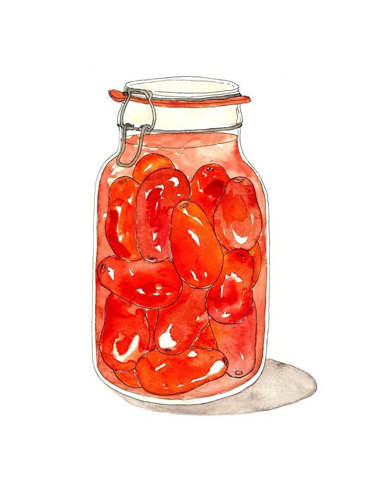 Jar of San Marzano Tomatoes  Watercolor Art Print