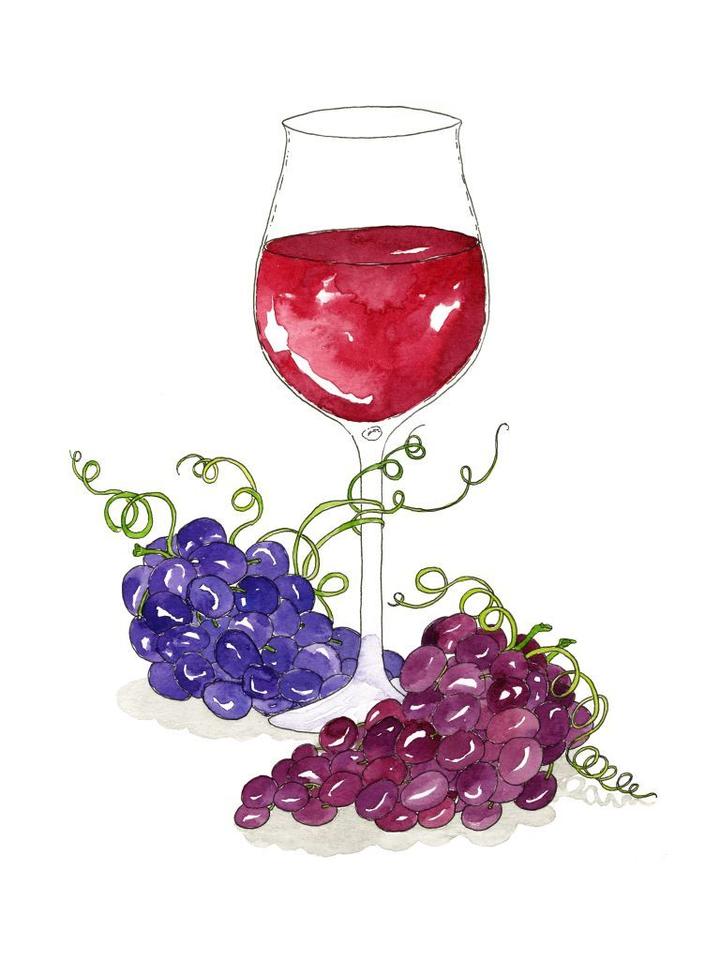Red Wine Glass and Grapes Watercolor Art Print