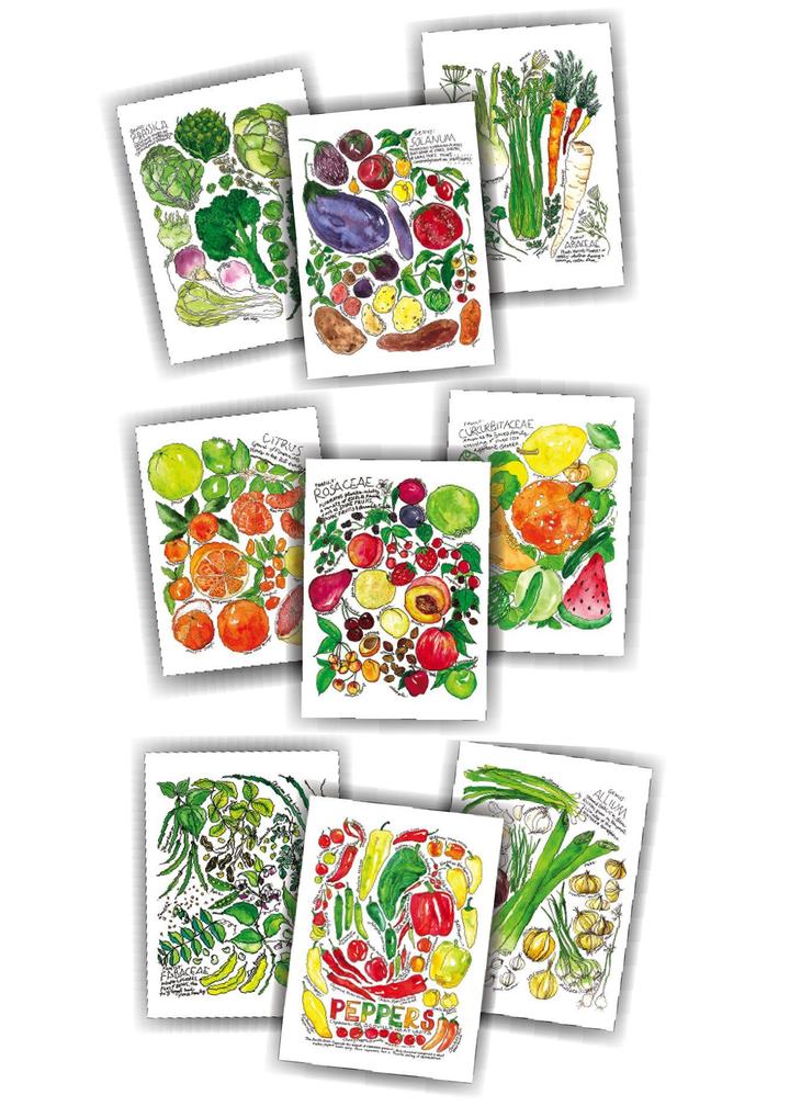 Produce Families Vegetable and Fruit Greeting Card Variety Set + Envelopes