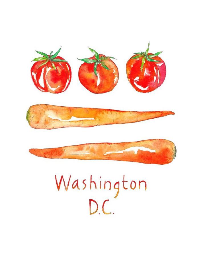 Washington, DC Vegetable Flag Watercolor Art Print